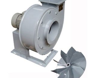 WhatsApp Image 2025-09-29 at 1.35.05 PM