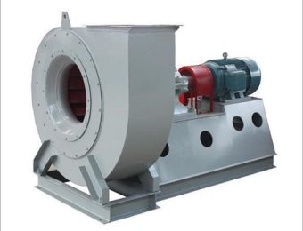 WhatsApp Image 2025-09-29 at 1.35.06 PM