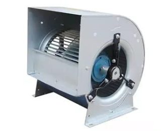 WhatsApp Image 2025-09-29 at 1.35.38 PM (3)