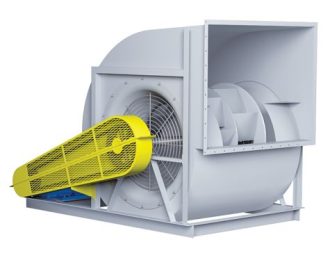 WhatsApp Image 2025-09-29 at 1.35.38 PM